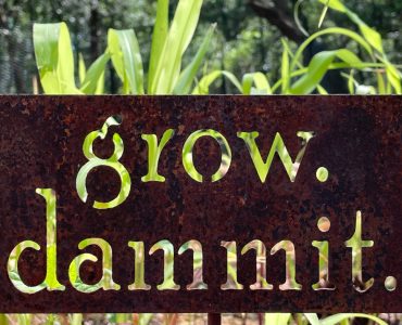grow
